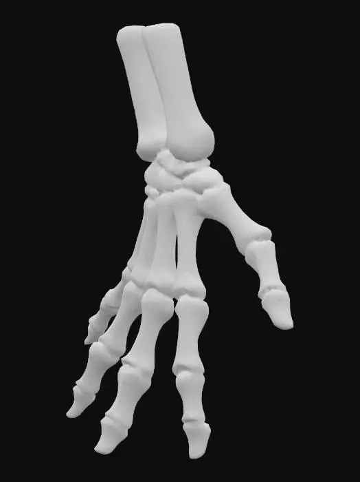 3D model for Skeleton_Hand_Dance_h_0911080725_generate