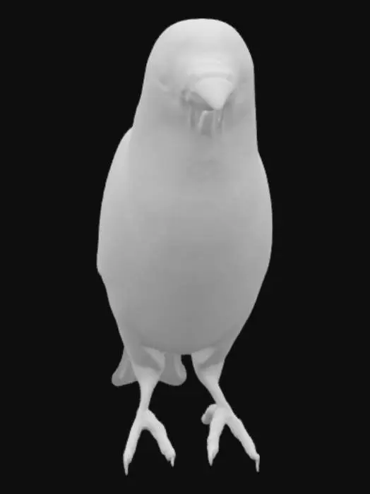 3D model for Sunny Perch