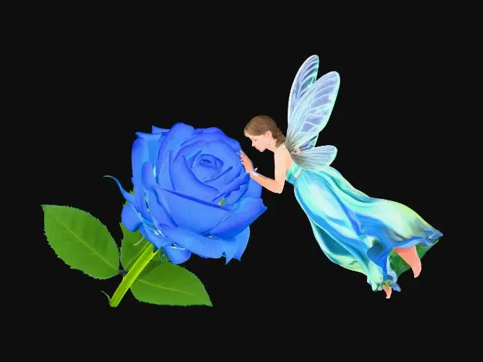 3D model for Fairy and the Blue Rose