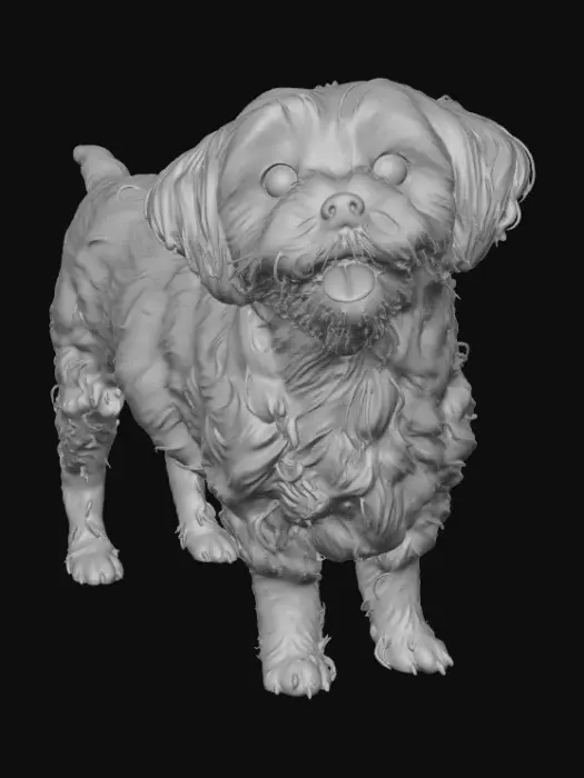 3D model for Happy Saiya