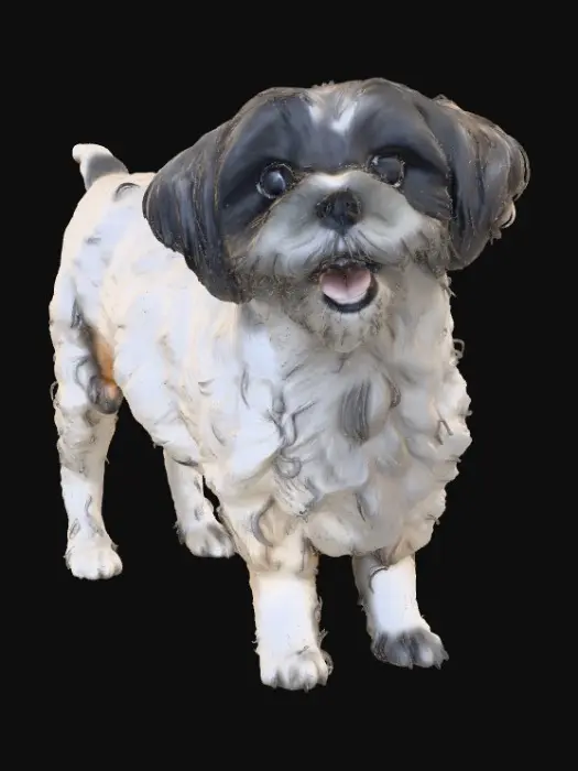 3D model for Happy Saiya