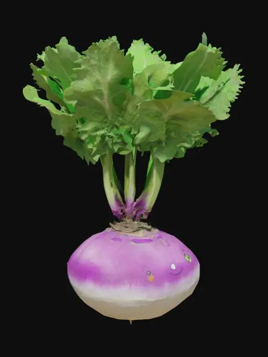 3D model for Happy Turnip