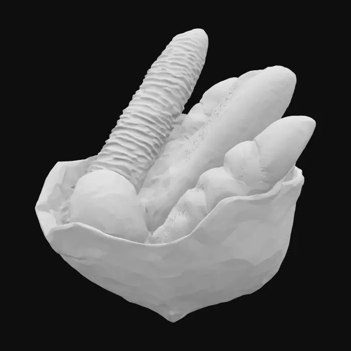 3D model for Bakery Delight