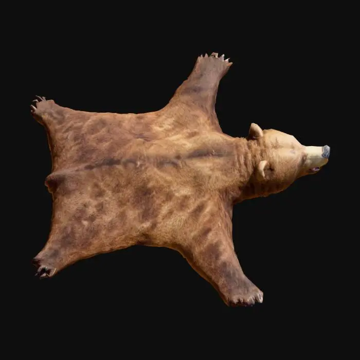 3D model for Bear Spread Out