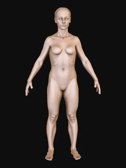 3D model for Sculpted Form
