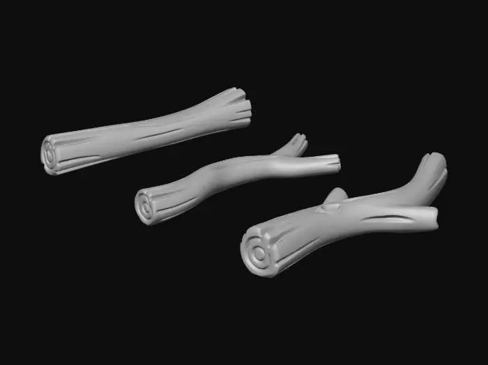 3D model for Three Floating Branches