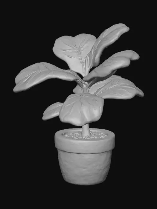 3D model for Fiddle Leaf Delight