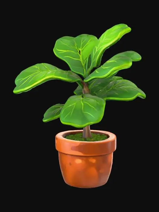 3D model for Fiddle Leaf Delight
