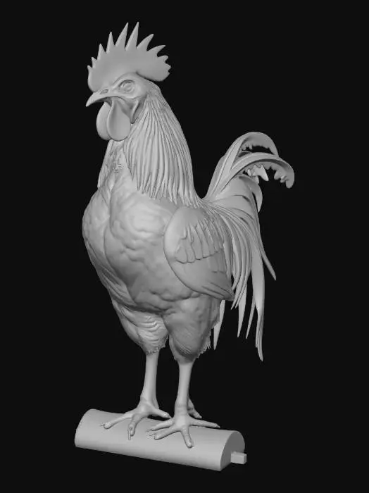 3D model for слабый петух стоит на плоту