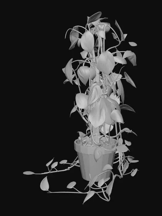 3D model for Golden Pothos Cascade