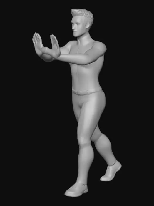 3D model for Push Forward