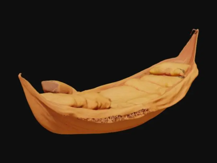 3D model for suspended sleeping cocoon