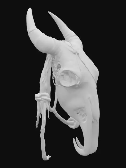3D model for a large aged animal skull wrapped in ancient rope. Standing tall and carved with blue and gold markings. Ultra high resolution. 