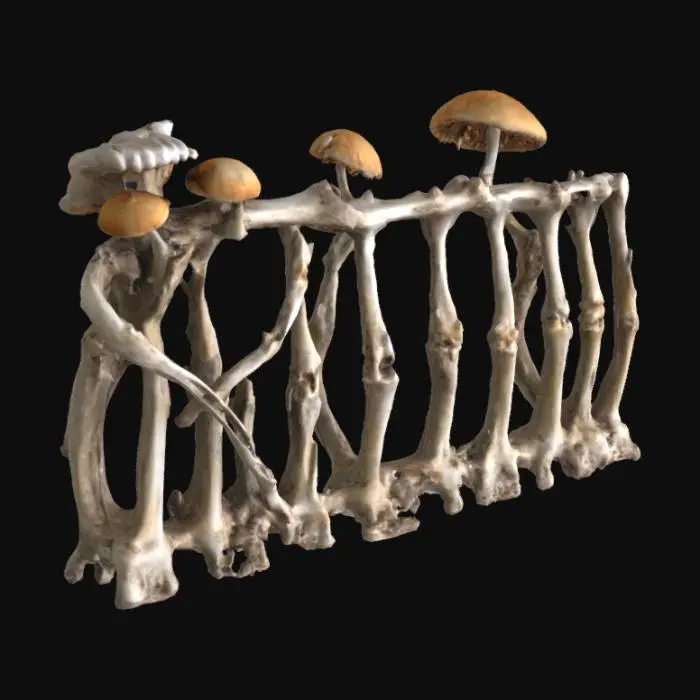 3D model for Railing made of aged animal bones and fuming rotten mushrooms.