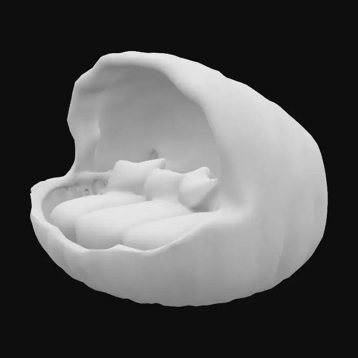 3D model for A large, unique sofa crafted in the organic, irregular shape of a giant clam shell. Its exterior boasts a rough, dark brown, bark-like texture with deep, vertical ridges, giving it a weathered, natural wood appearance. The interior, contrasting sharply, is a smooth, lighter brown with visible wood grain, resembling polished driftwood. Inside, soft, white, plush cushions are nested, providing a comfortable and inviting seating area within the sturdy, sculpted shell.