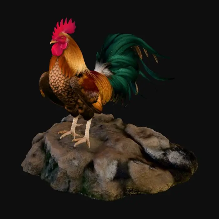 3D model for Chicken