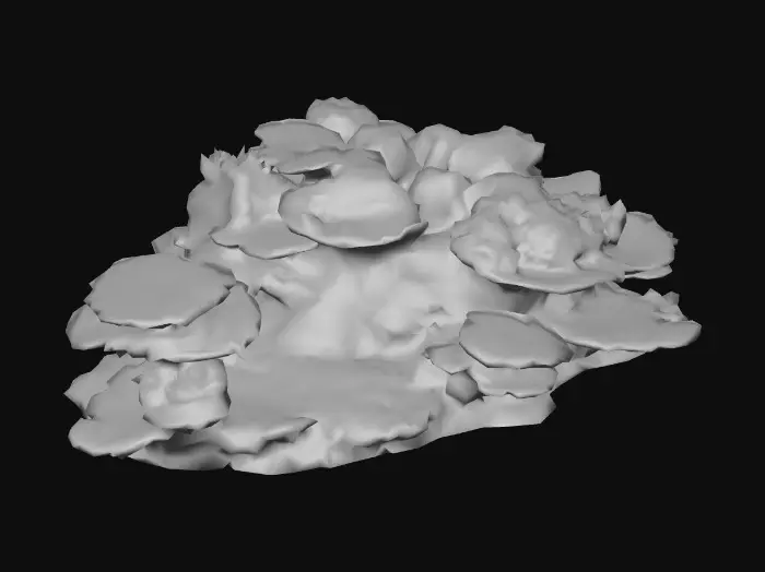 3D model for Coral Symphony