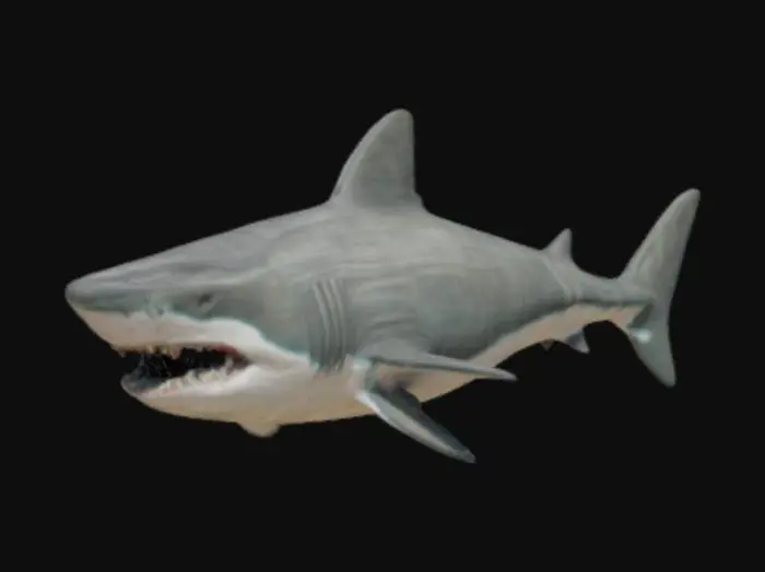 3D model for Megalodon is a giant prehistoric shark that is terrifying in its size and power. Its body is massive and streamlined, reaching a length of up to 18-20 meters. The megalodon's skin is covered with dense, coarse scales, which gives it extra protection and speed in the water.
The head is huge, with powerful jaws studded with rows of teeth. The eyes are small, but predatory. The fins are large: high dorsal, broad pectoral and powerful caudal.
