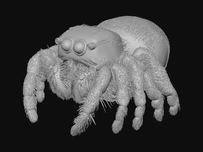 3D model for Fuzzy Guardian