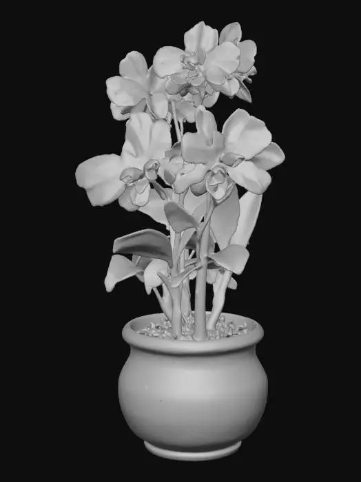 3D model for Purple Orchid Pot
