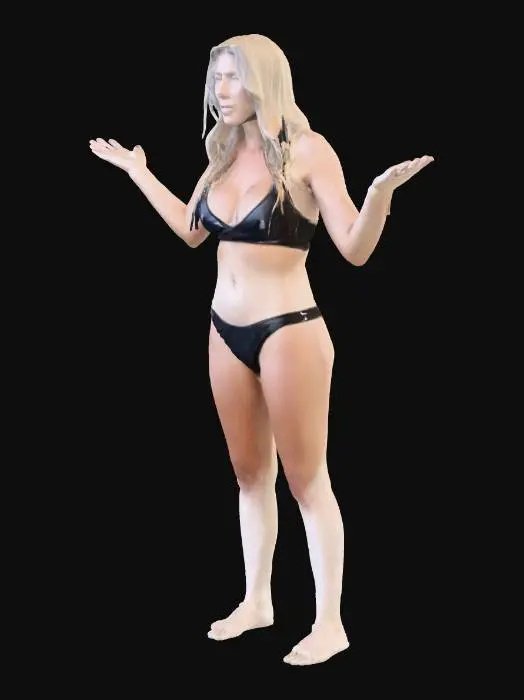 3D model for Summer Confusion in the Backyard