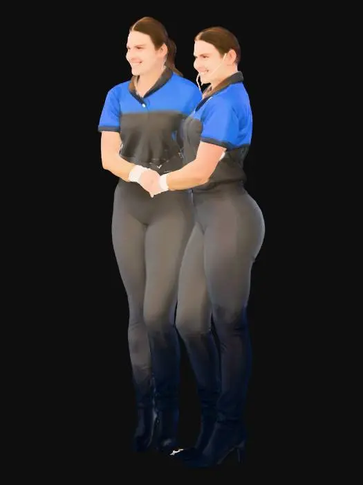 3D model for Twins on the Field
