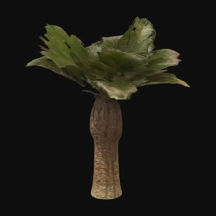3D model for Mediterranean palm tree (Palma nana) with a thick, robust trunk, especially wide at the base. Bark rough and fibrous with brown overlapping ridges. Large, fan-shaped green fronds extending outward. Compact and dense growth, typical of dry and warm climates. Realistic proportions and natural details