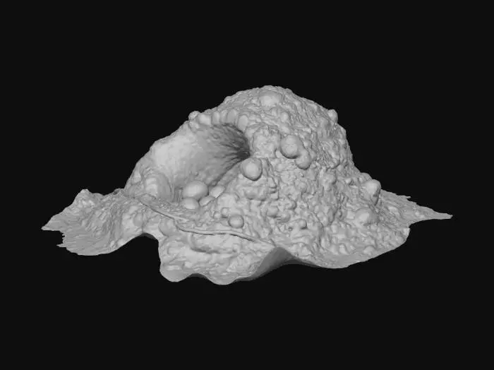 3D model for a small sand mound with sea turtle nest eggs  and research tags surrounding the outer nest and ropes