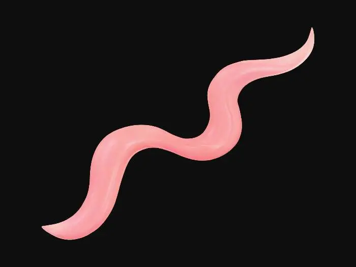 3D model for Hot air current