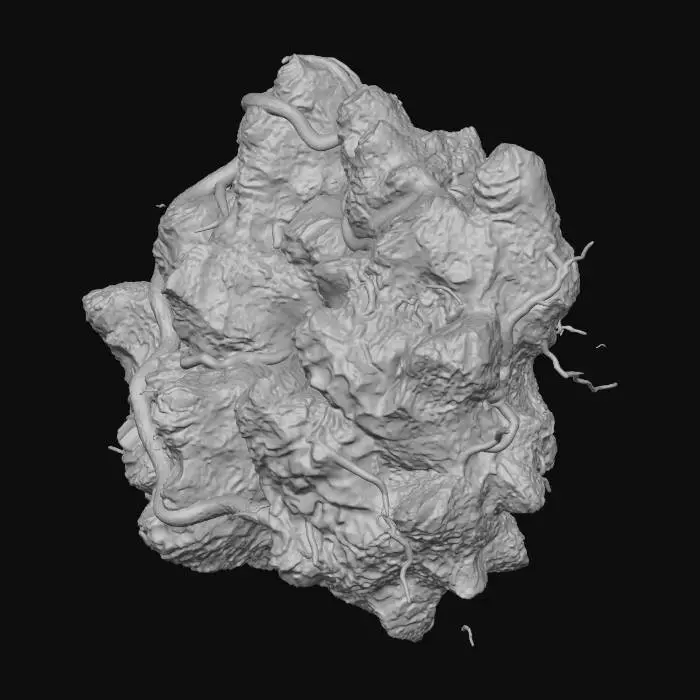 3D model for Craggy Conduit Maze