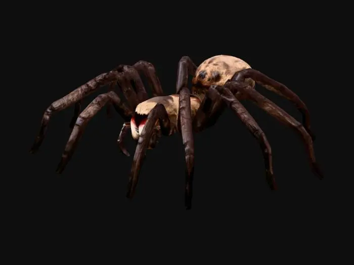 3D model for scary tarantula with fangs