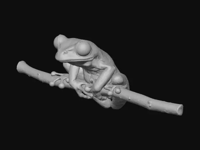 3D model for tree frog in a symmetrical pose