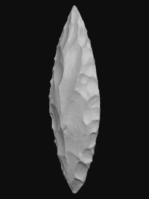 3D model for Stone Tool Artifact