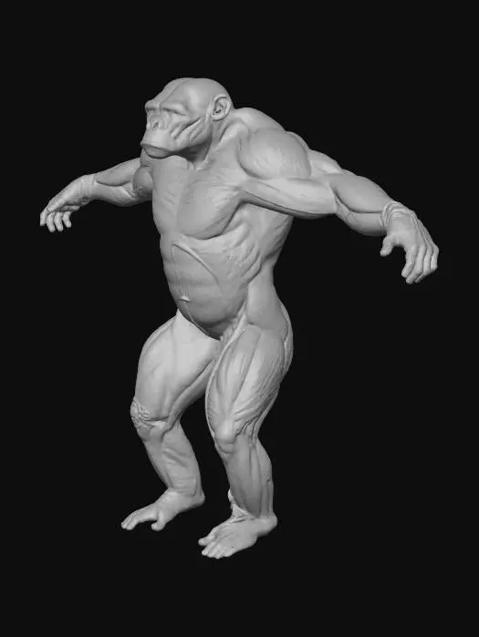 3D model for Primal Evolution
