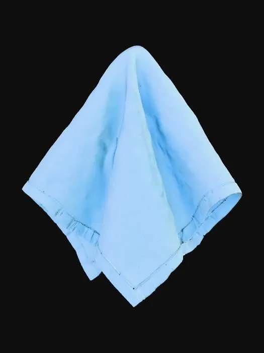 3D model for Blue Linen Fold