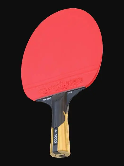 3D model for Ping Pong Paddle