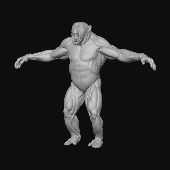 3D model for Chimpanzee Anatomy Sculpture
