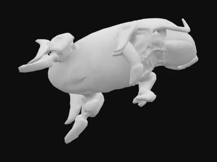 3D model for Aquatic Automaton