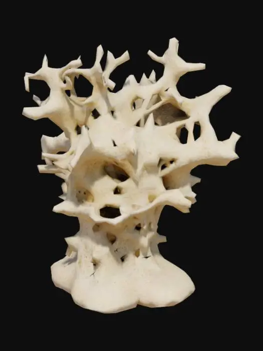 3D model for eponge neurone