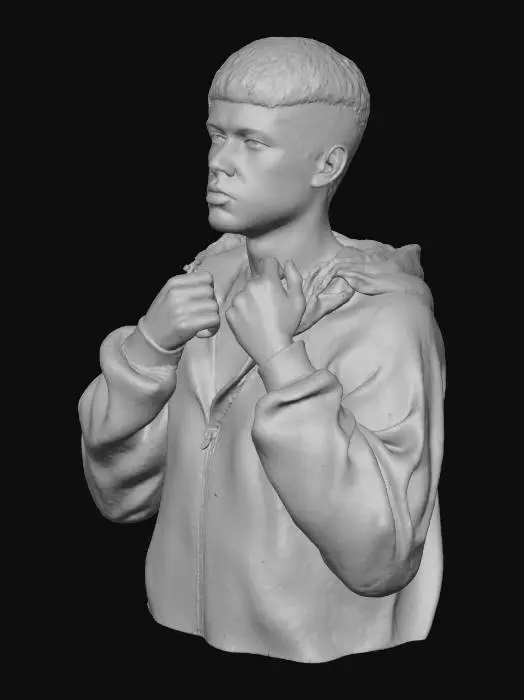 3D model for ab6761610000e5ebe30e9915f71609cfbb5cf761.jpg