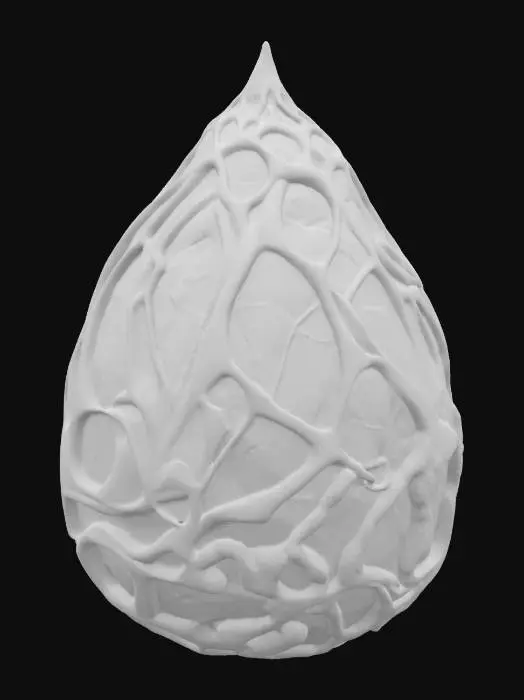 3D model for Celestial Cocoon