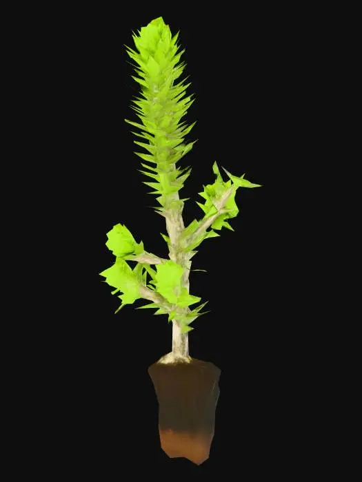3D model for Thistle Seedling