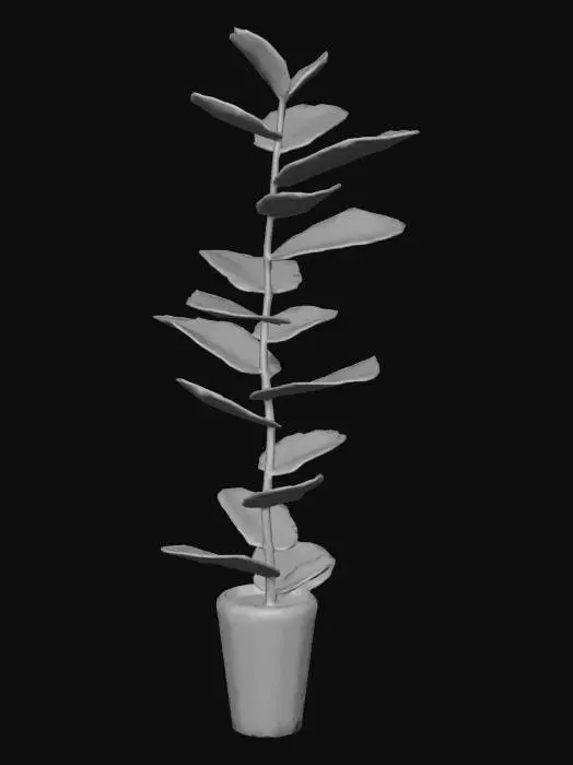 3D model for Young Plant in Soil Plug