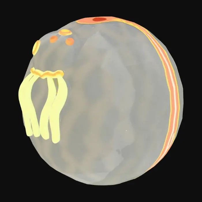 3D model for Crystal Octopod