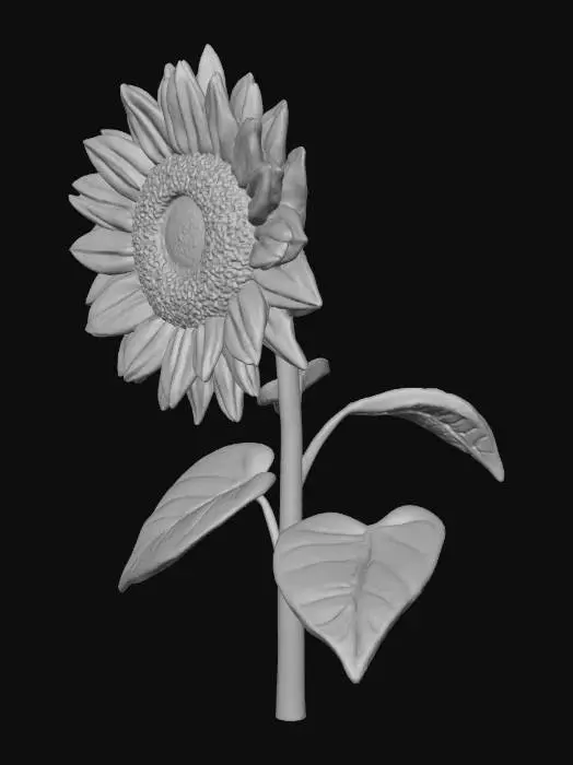 3D model for sunflower