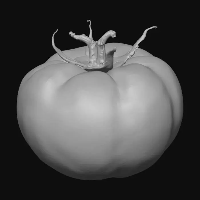 3D model for Eine farbenfrohe Tomate