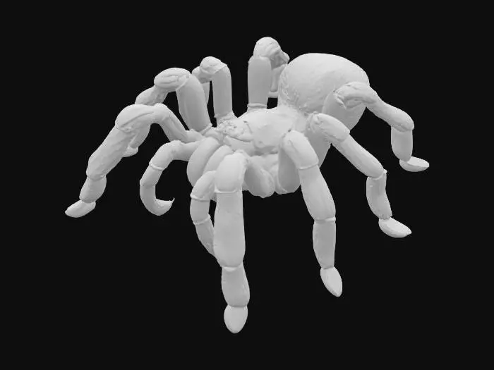 3D model for Arachnid Majesty