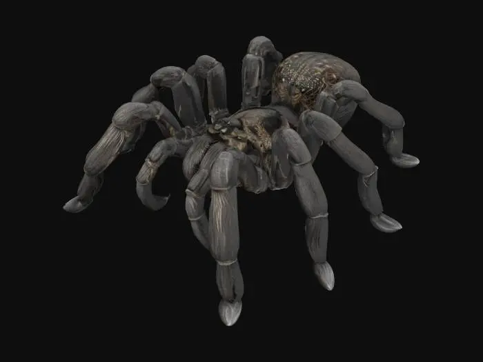 3D model for Arachnid Majesty