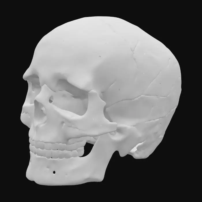 3D model for Ethereal Skull