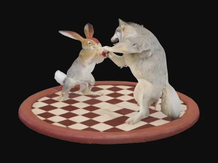 3D model for Box ring in dem ein Hase und ein Wolf miteinander kämpfen, wobei der hase dem Wolf gerade ins Gesicht schlägt während der wolf ins leere schlägt.